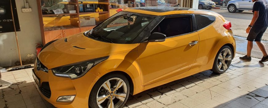 מולטימדיה ליונדאי וולסטר